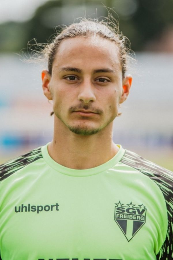 Louis Dario Bevilacqua