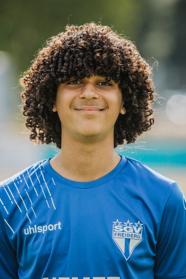 Sami El-Bastawisy