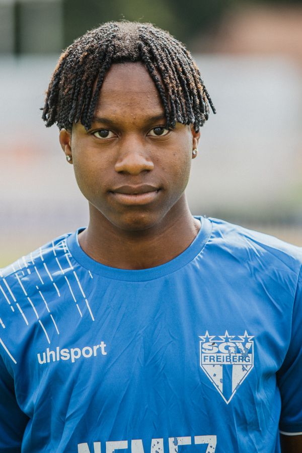 Feliz Valdez Paulino