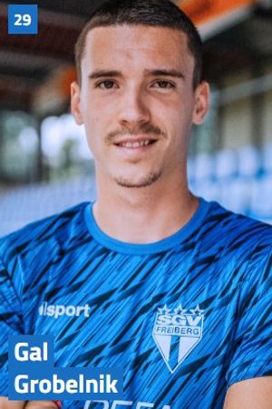 Gal Grobelnik