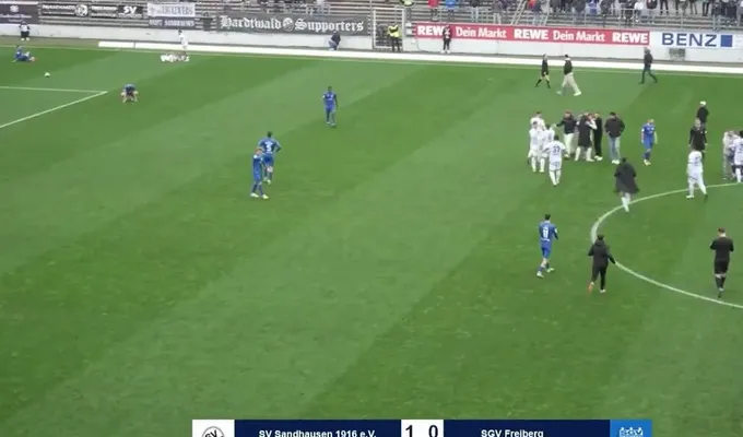 SV Sandhausen - SGV Freiberg | 16. Spieltag RLSW