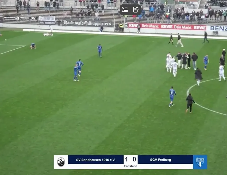 SV Sandhausen - SGV Freiberg | 16. Spieltag RLSW