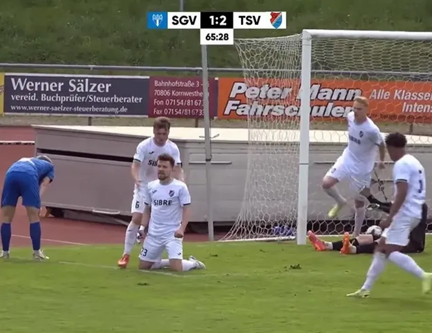 SGV Freiberg - TSV Steinbach Haiger | 29. Sp. RLSW