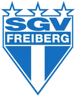 SGV Freiberg Fußball e.V.