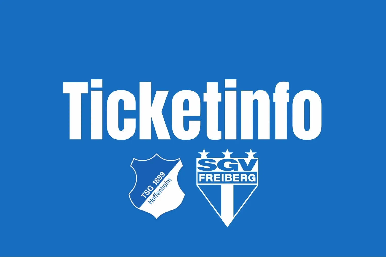 SGV Freiberg trifft auf die TSG Hoffenheim