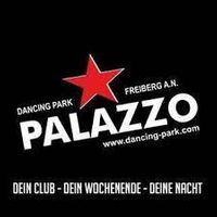 Dancing Park Palazzo