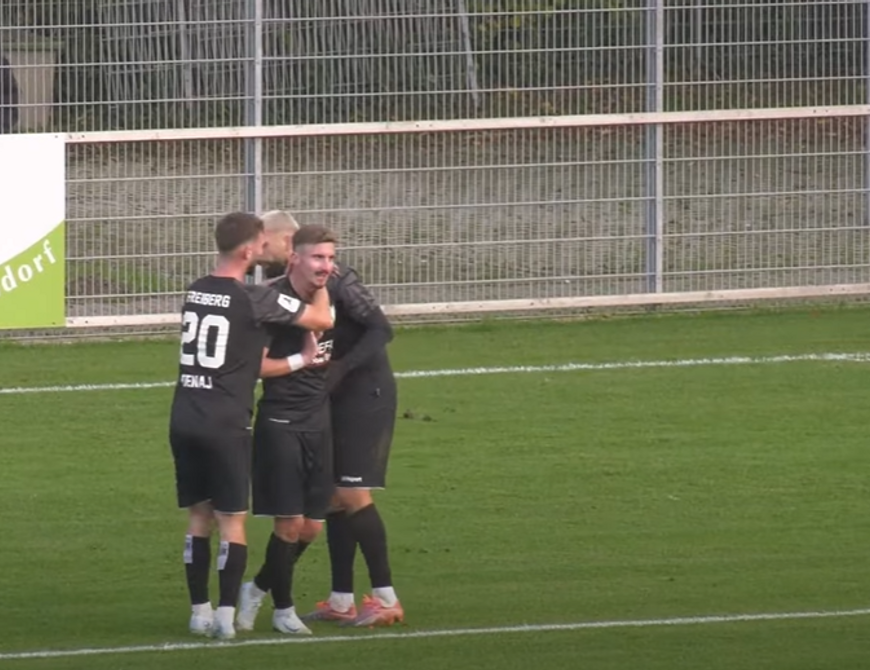FC-Astoria Walldorf - SGV Freiberg | 17. Spieltag RLSW