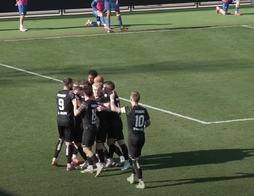 TSG Hoffenheim II - SGV Freiberg | 23. Spieltag RLSW